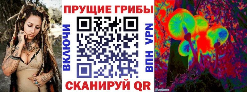 Псилоцибиновые грибы Cubensis  купить   Павловский Посад 